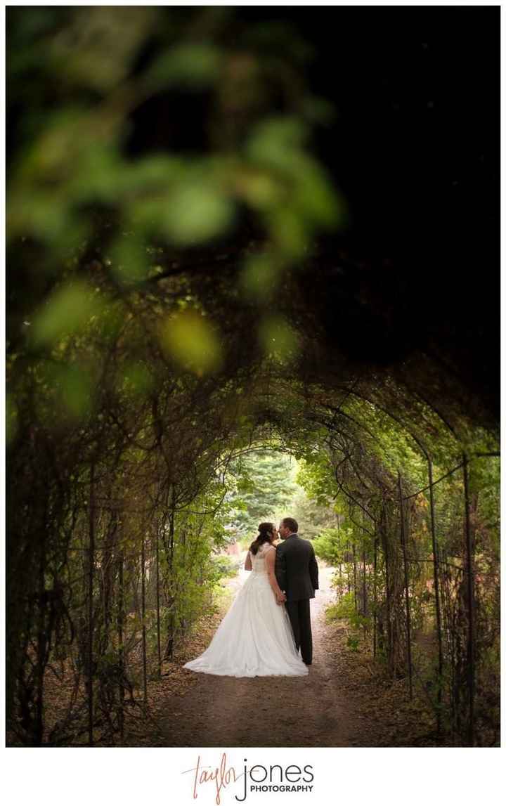 BAM Non-pro + 2 Pro Teasers