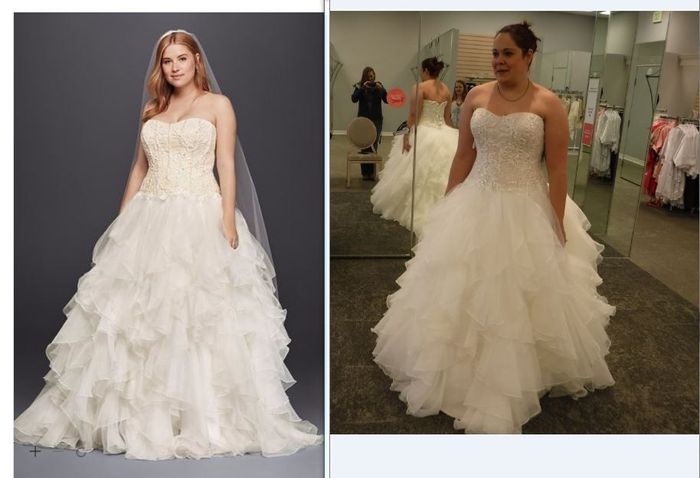 Any size 12/14 brides care to share?