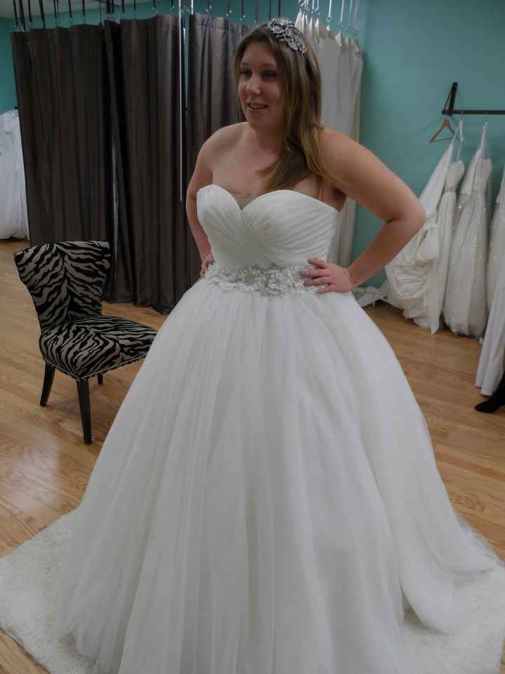 never Posted before but need some advice!