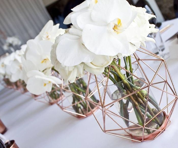 Flower color  help. 6