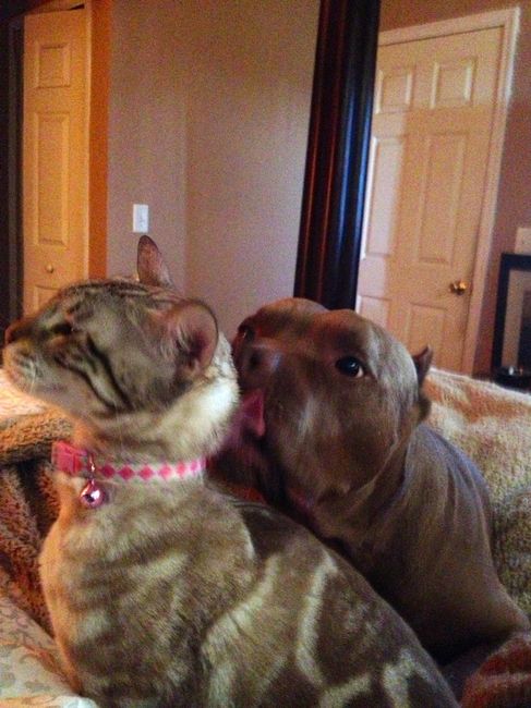 NWR:  Feline Friday :)