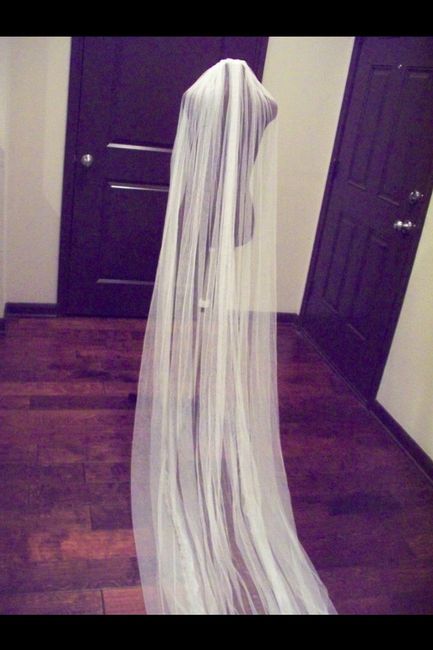 Show me your veil!