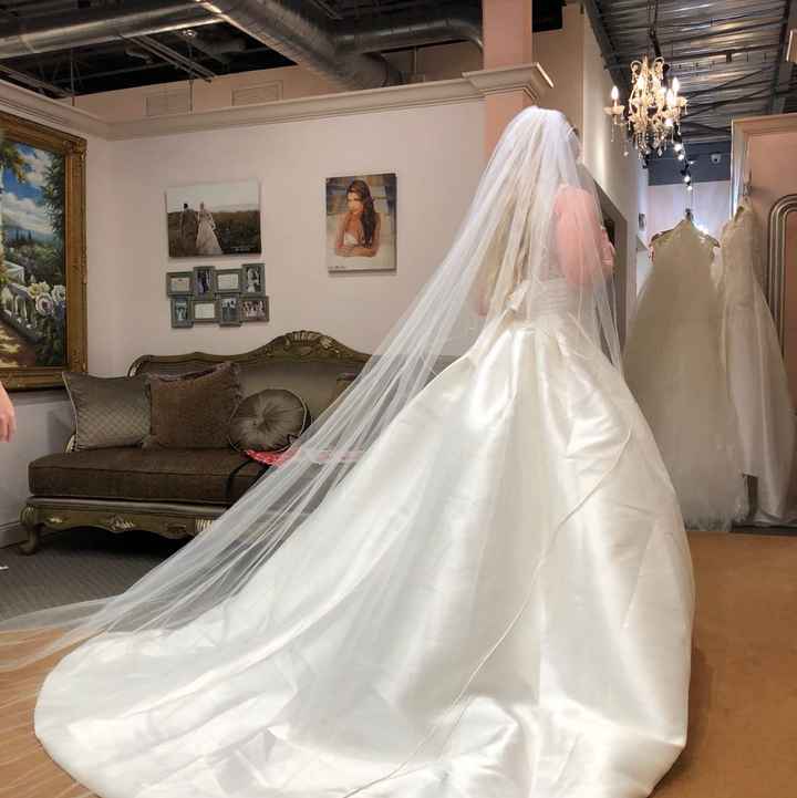 Bustle on a ball gown - 1