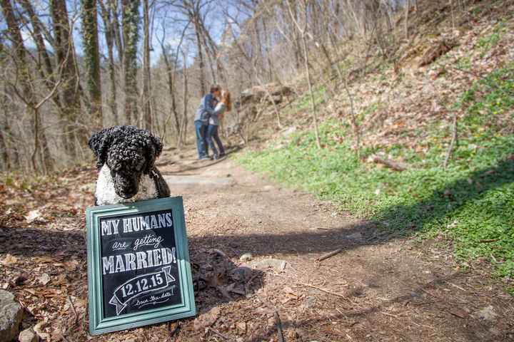 Engagement pics are in!