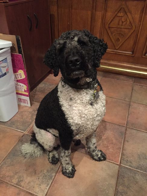 NWR Happy Fursday! Show me your fur babies!