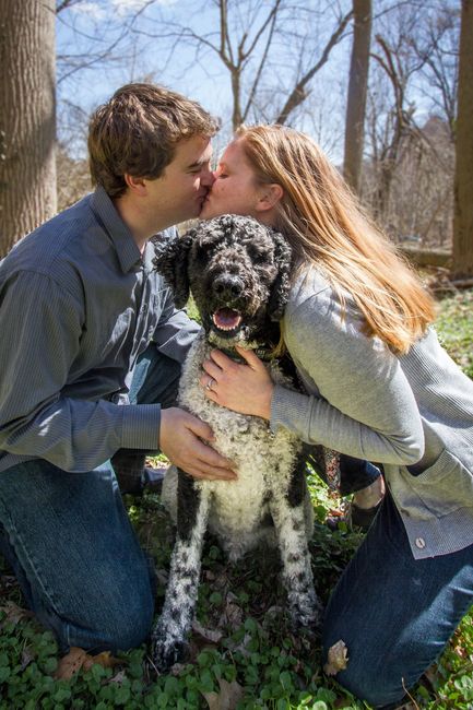 Engagement pics are in!