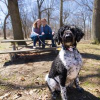 engagement pictures...