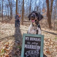 engagement pictures...