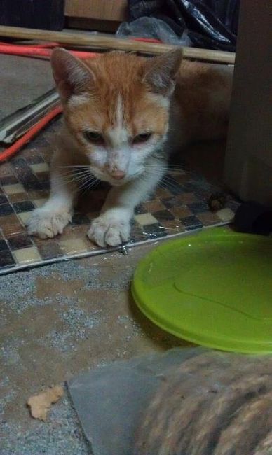 Today has been rough :'(