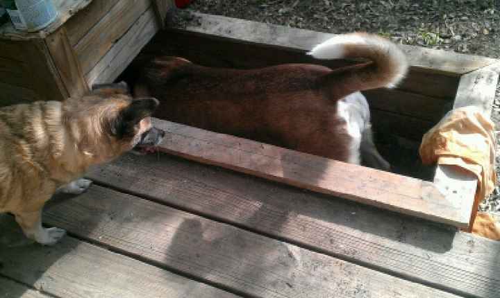 A totally un-wedding related day :) *pic*