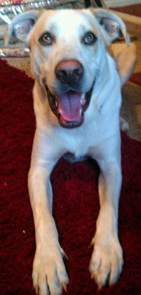 We've seen your rings, your dresses, your jewels.... show me your