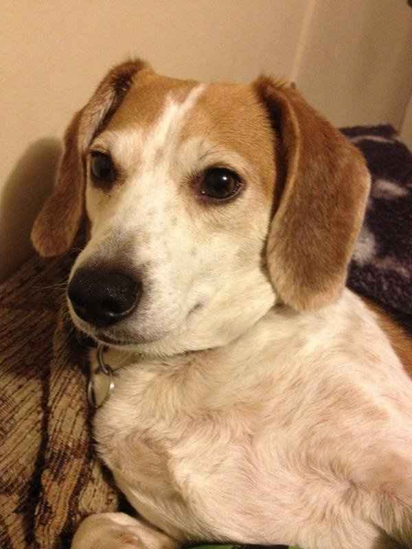 We've seen your rings, your dresses, your jewels.... show me your