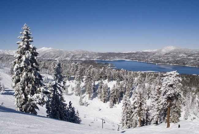 Honeymoon in the US?