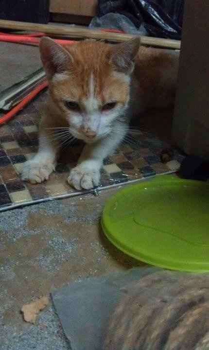 Today has been rough :'(