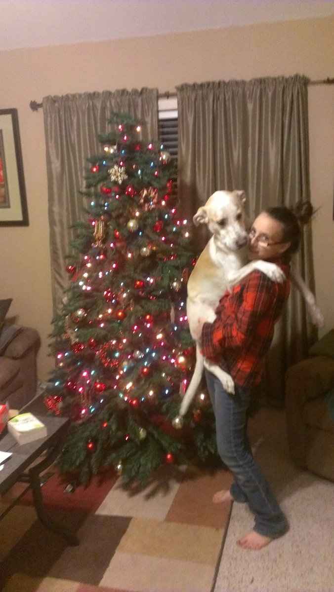 Christmas time with the furbabies!