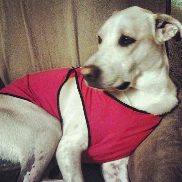 Happy Friday! FURBABY BIRTHDAY!!