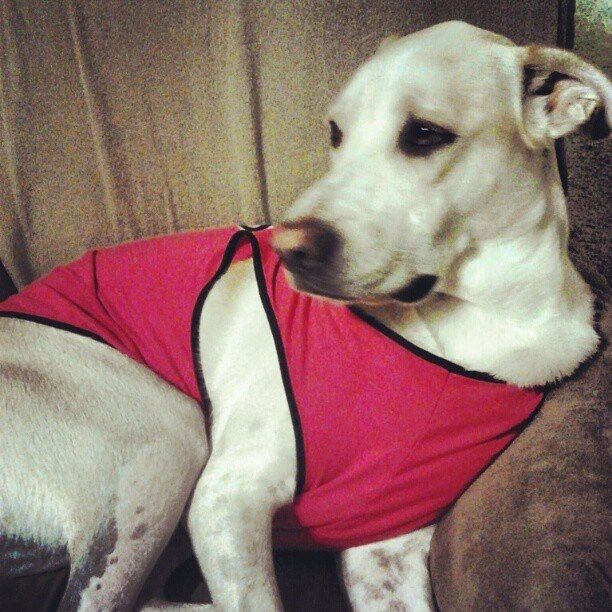 Happy Friday! FURBABY BIRTHDAY!!