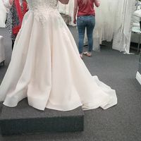 S.o. saw the Dress. - 1