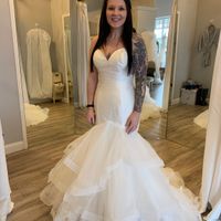 Dress size 14 - Street Size 12. Dress pics?? - 1