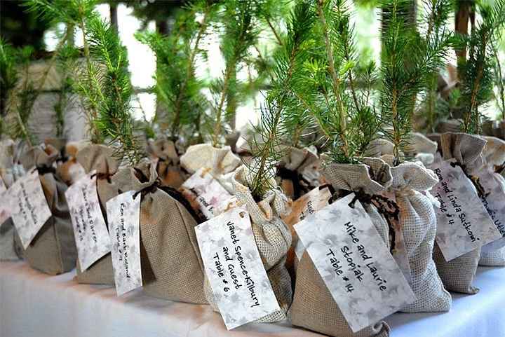Seedling/Tree Wedding Favors