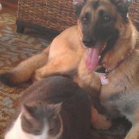 Let's see some FUR babies!