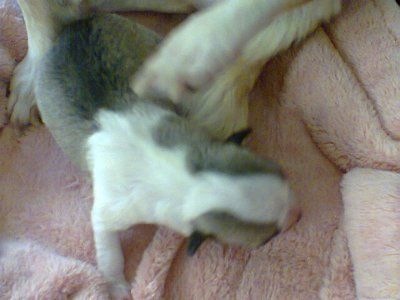 nwr---but im gonna be a grandma!***up date!!!****