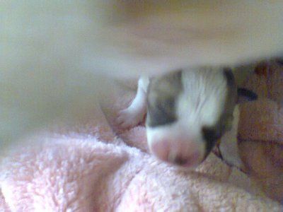 nwr---but im gonna be a grandma!***up date!!!****
