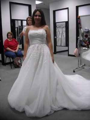 Not your dream dress (pic heavy)