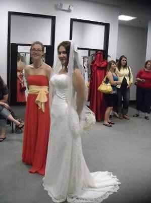 Not your dream dress (pic heavy)