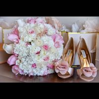 Wedding pix / Pro BAM