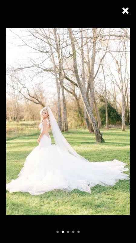 Let's talk about veils...