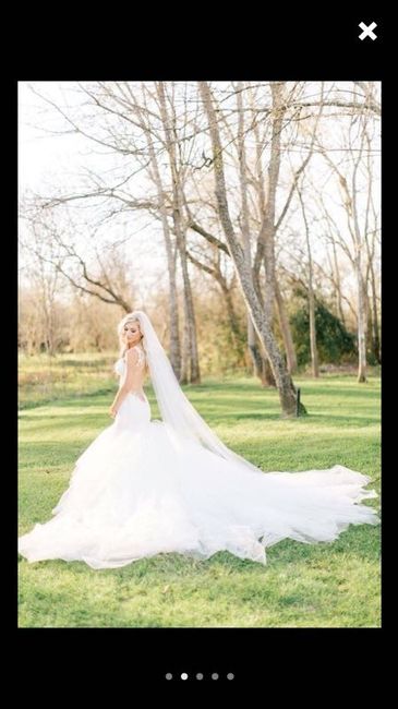 Let's talk about veils...