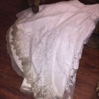 Tore up from the floor up