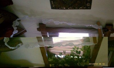 I need your help to find this!