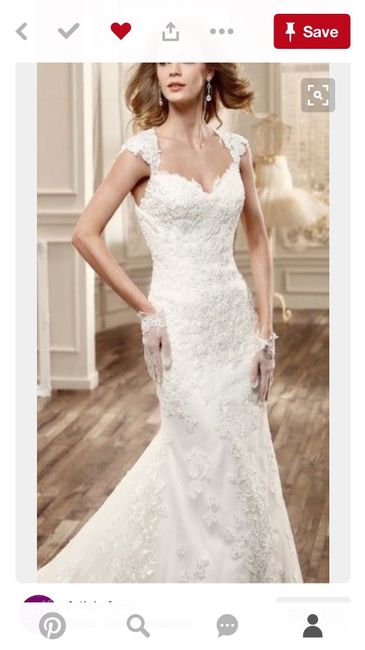 Dress Fever & A peak at the gown!