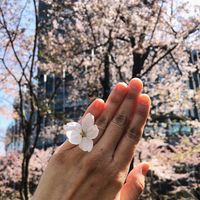 Anyone having to postpone their engagement? - 1