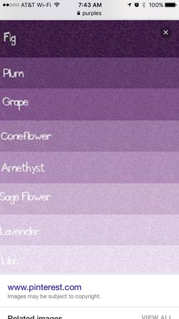 Show me your wedding inspiration with color palette