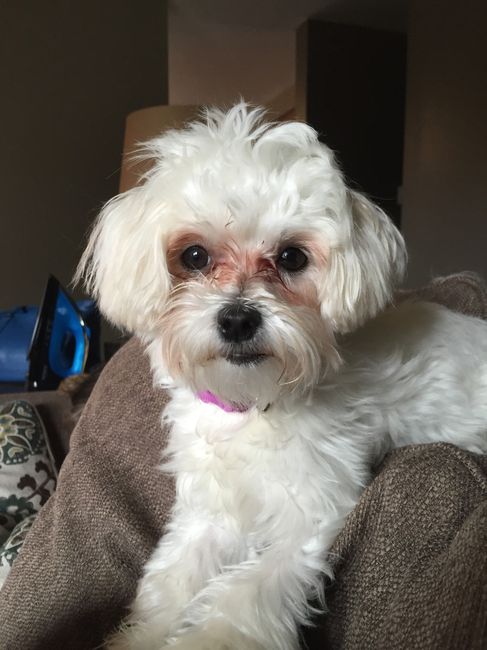 NWR- pets! We love them show me yours :)