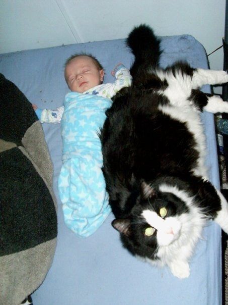 Let's see some FUR babies!