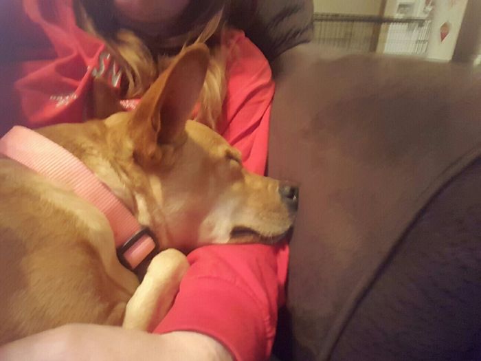 Nwr: my pup