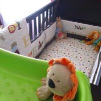 NWR- Need help with nursery colors...