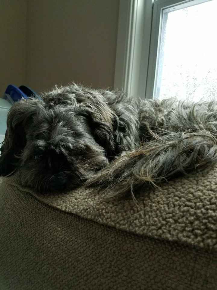 Need some positivity: Sick for the Wedding?