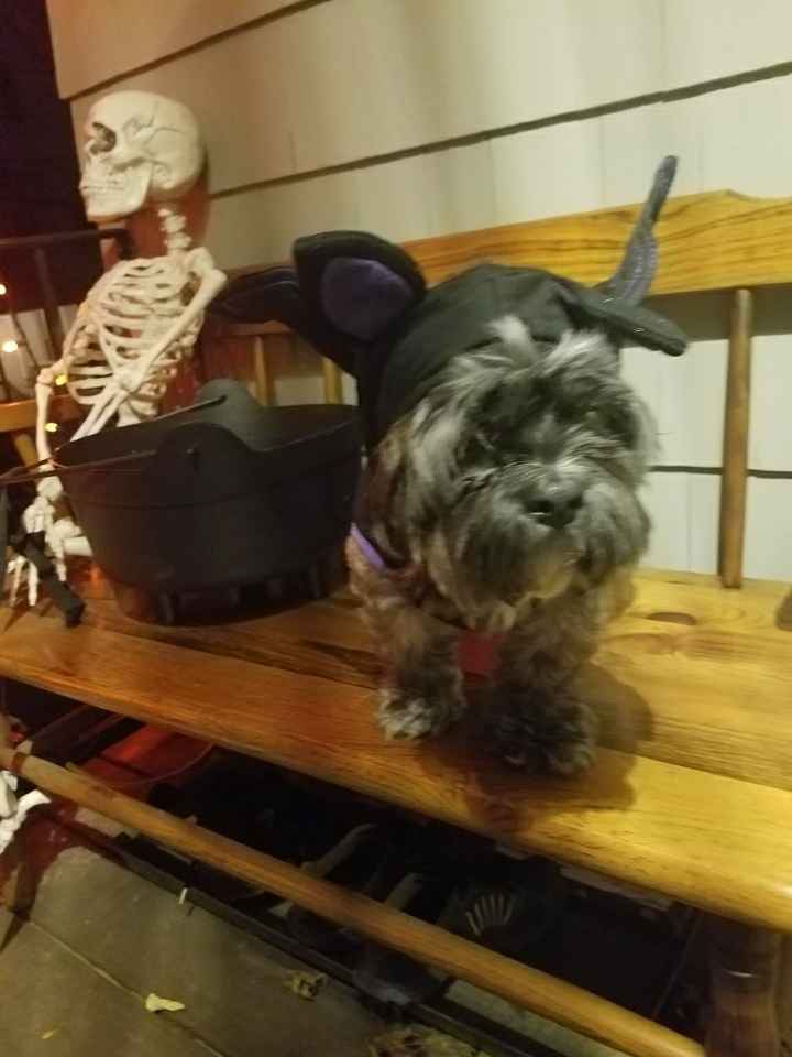 NWR: Couples Costumes/Halloween