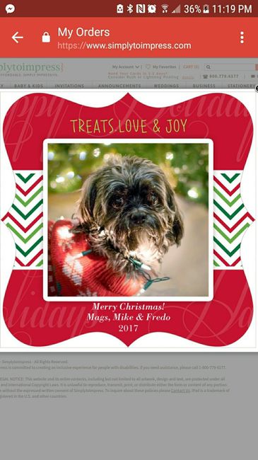 Show me your holiday photos!