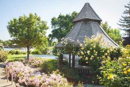 BAM ladies: Post Wedding Survey