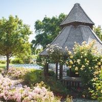 BAM ladies: Post Wedding Survey