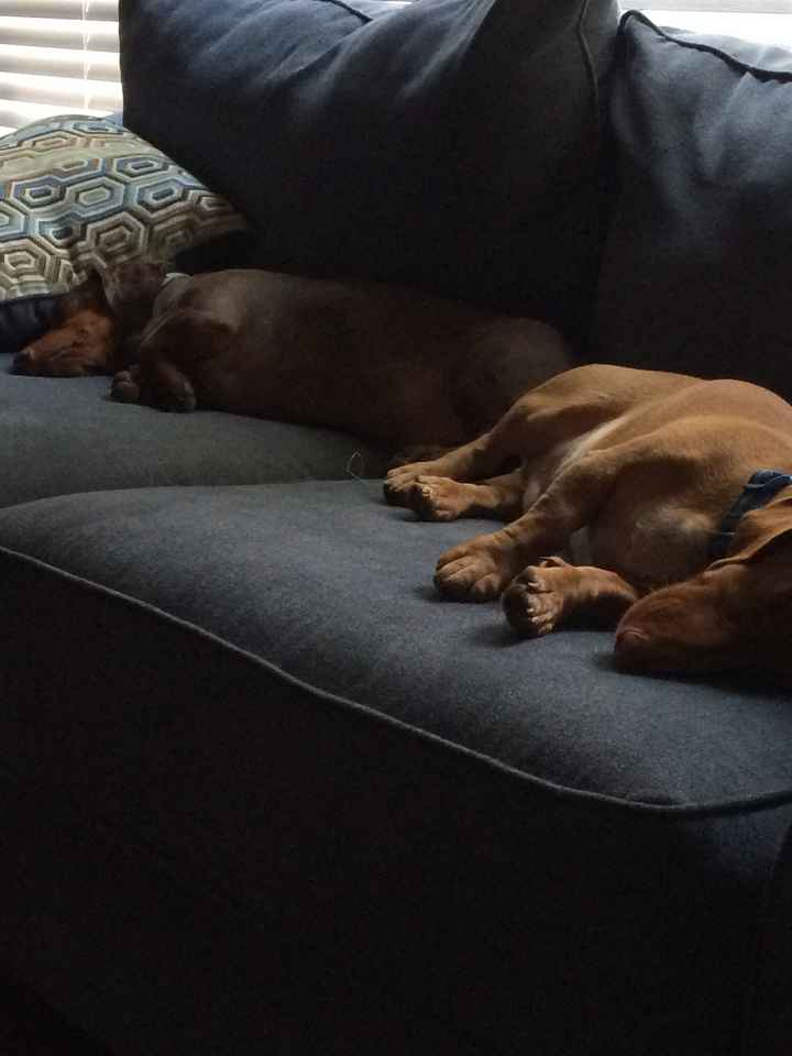 NWR Happy Fursday!!!