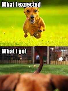 Tickled Tuesday