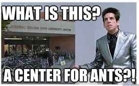 Wedding with a talent show?