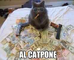 Money donations...